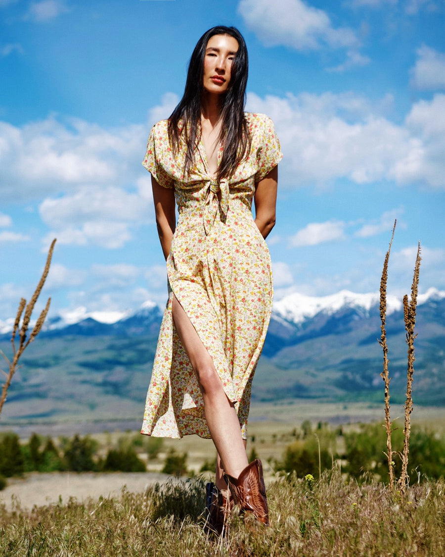 Clark Dress