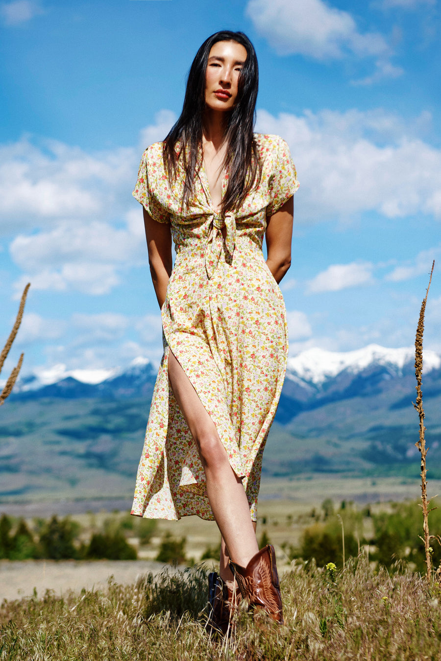 Clark Dress