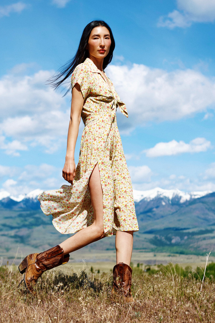 Clark Dress, view 4