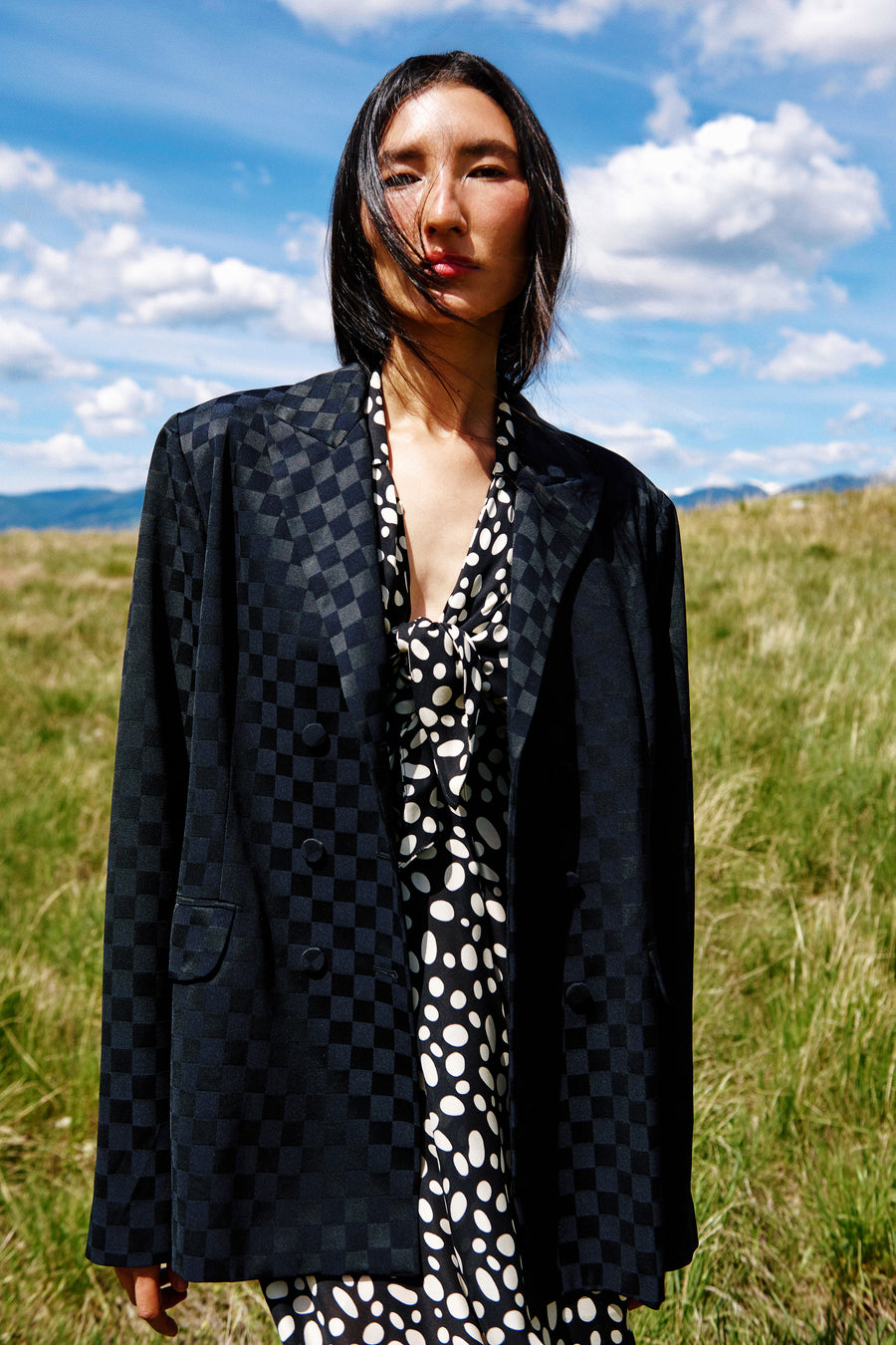 The Travel Blazer